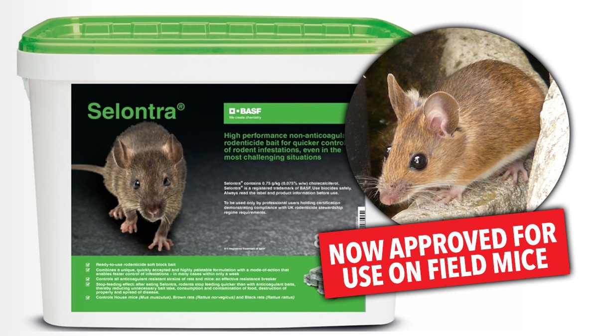 selontra-approved-field-mice selontra-approved-field-mice